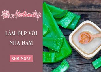 Top 3 cách làm đẹp bằng nha đam hiệu quả tại nhà cực nhanh và đơn giản