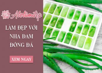 Hướng dẫn chi tiết 3 cách làm đẹp từ nha đam đông đá