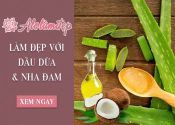 Cách làm đẹp từ nha đam và dầu dừa dưỡng da mặt, căng da mặt tốt nhất
