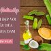 Cách làm đẹp từ nha đam và dầu dừa dưỡng da mặt, căng da mặt tốt nhất