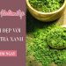 Top 3 cách làm đẹp với bột trà xanh matcha và tác dụng bột trà xanh đắp mặt