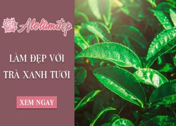 Top 3 cách làm đẹp với trà xanh tươi mà chị em phụ nữ nào cũng nên biết