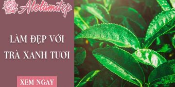 Top 3 cách làm đẹp với trà xanh tươi mà chị em phụ nữ nào cũng nên biết