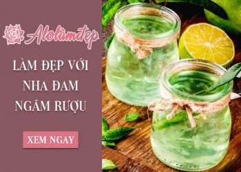 4 bước học ngay cách làm nha đam ngâm rượu dưỡng da cực dễ tại nhà