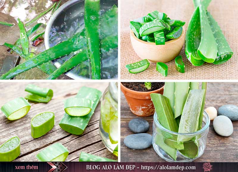 Cách làm toner nha đam ngâm giấm táo Cách làm toner nha đam ngâm giấm táo