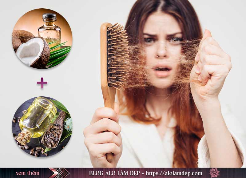 Dưỡng tóc dễ gãy với dầu dừa và dầu thầu dầu