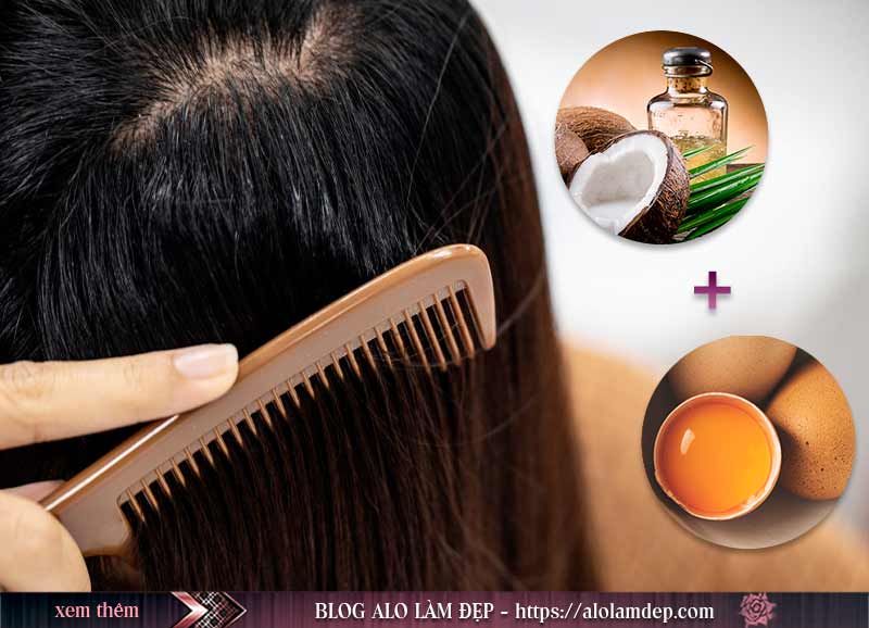 Cách dưỡng tóc mỏng với dầu dừa và trứng