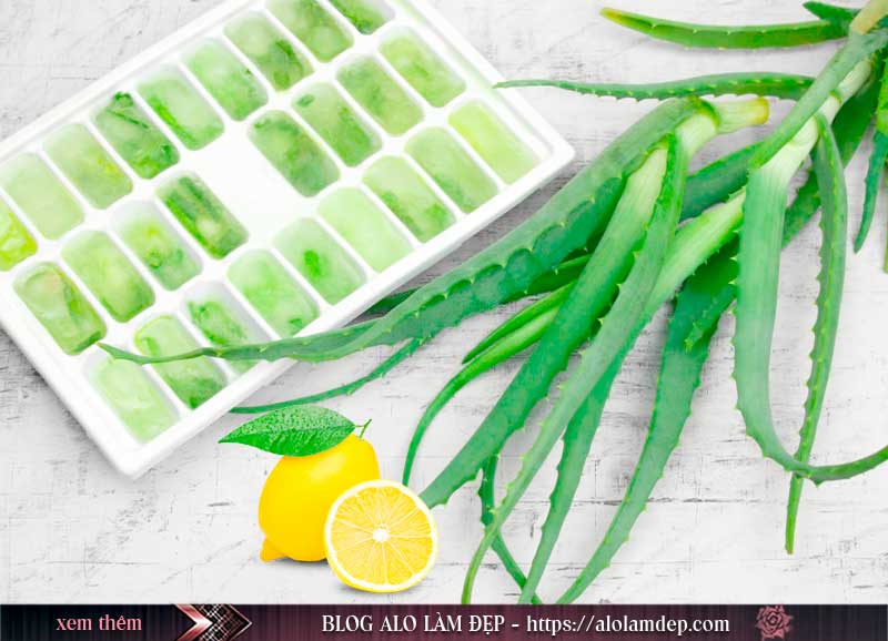 Nguyên liệu làm đẹp bằng nha đam đông đá