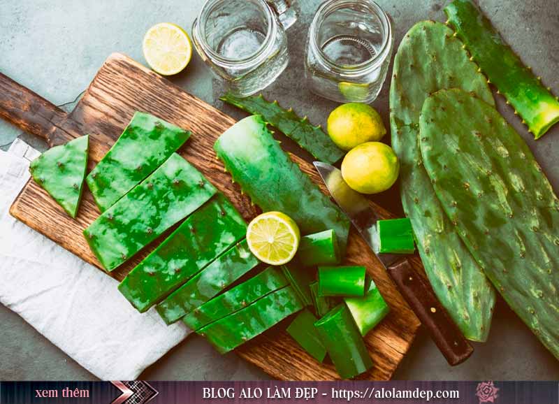 Nguyên liệu làm nha đam ngâm rượu