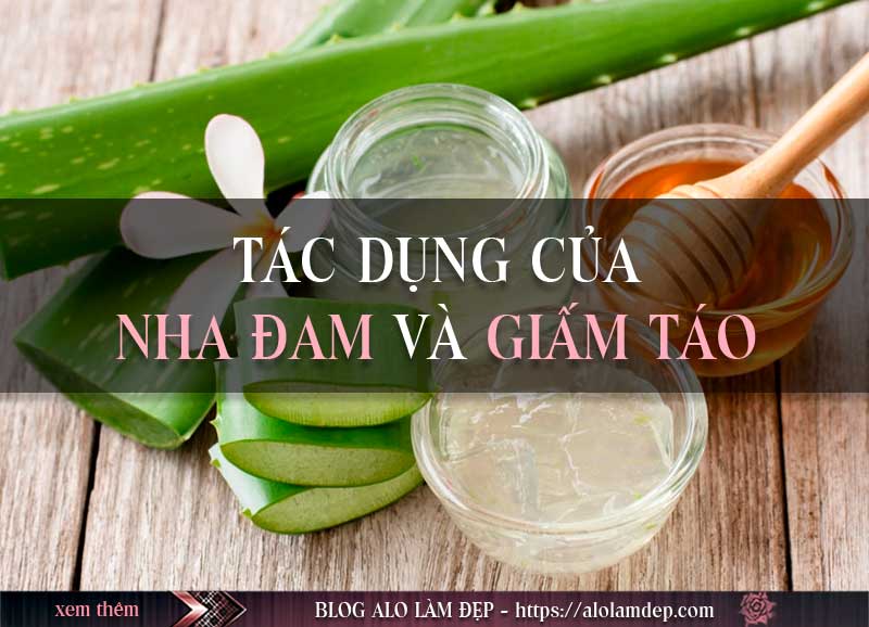 Tác dụng của nha đam và giấm trong làm đẹp Tác dụng của nha đam và giấm trong làm đẹp