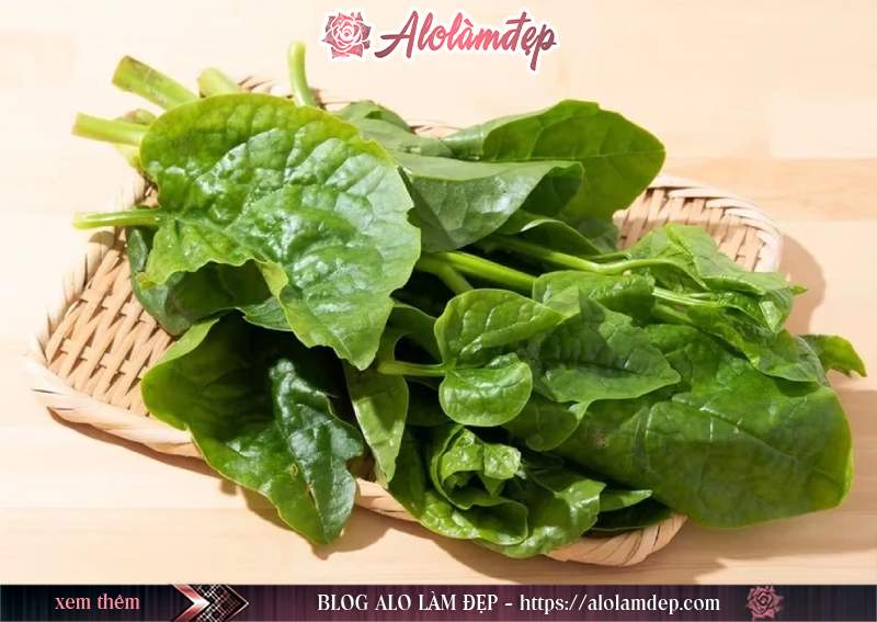 Cách chọn lá mồng tơi phù hợp để làm đẹp