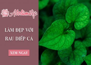 10+ cách làm đẹp bằng rau diếp cá trị mụn, trắng da cực hiệu quả