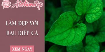 10+ cách làm đẹp bằng rau diếp cá trị mụn, trắng da cực hiệu quả