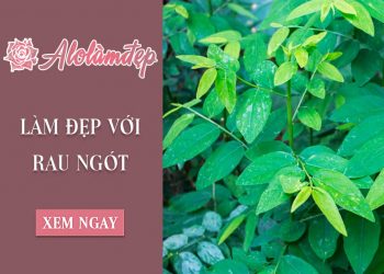 Tổng hợp top 3 cách làm đẹp bằng rau ngót đơn giản ngay tại nhà