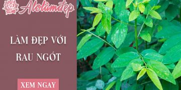 Tổng hợp top 3 cách làm đẹp bằng rau ngót đơn giản ngay tại nhà