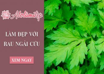 Hướng dẫn 3 cách làm đẹp rau ngải cứu chuẩn nhất