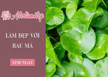 Nắm trọn 4 cách làm đẹp từ rau má tốt nhất hiện nay
