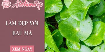 Nắm trọn 4 cách làm đẹp từ rau má tốt nhất hiện nay