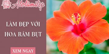 Top 2 cách làm đẹp với hoa râm bụt để có được làn da khỏe mạnh
