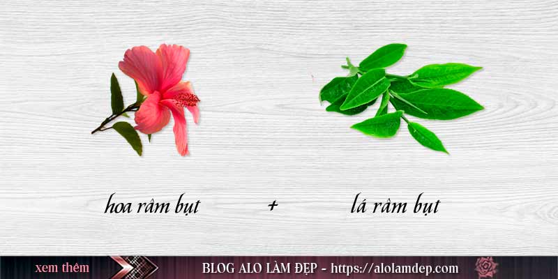 Cách làm đẹp với hoa râm bụt và lá râm bụt