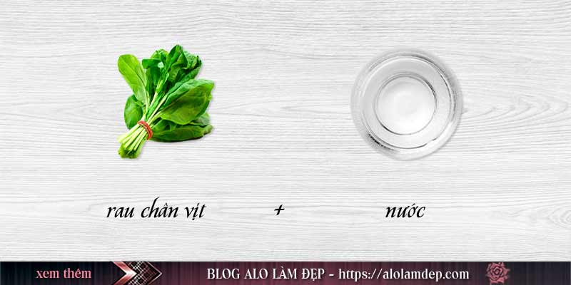 Nguyên liệu trị mụn bằng rau chân vịt