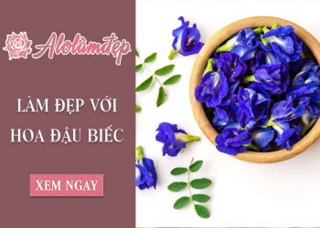 2 cách làm đẹp từ hoa đậu biếc ít ai ngờ tới cực đơn giản