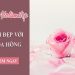 Top 4 cách làm đẹp bằng hoa hồng đơn giản mà cho hiệu quả cao