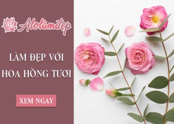 Top 5 cách làm đẹp bằng hoa hồng tươi và những lưu ý khi sử dụng