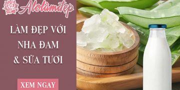 Cách làm đẹp với nha đam và sữa tươi đơn giản tại nhà mà hiệu quả