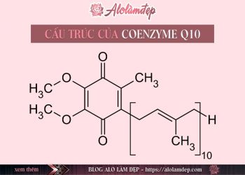 Cấu trúc của Coenzyme Q10
