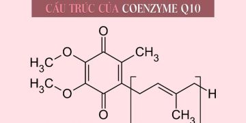 Cấu trúc của Coenzyme Q10