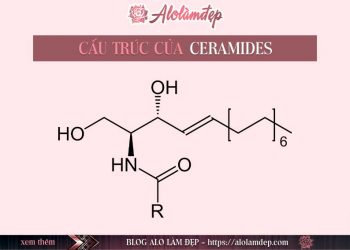 Ceramides là gì