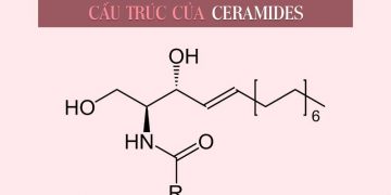 Ceramides là gì