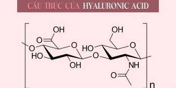 Hyaluronic Acid là gì