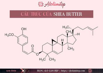 Shea Butter là gì