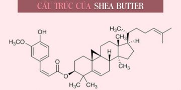 Shea Butter là gì