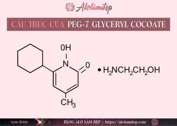 PEG-7 Glyceryl Cocoate là gì ? PEG-7 Glyceryl Cocoate có tác dụng gì trong mỹ phẩm làm đẹp