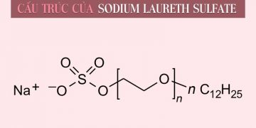 Sodium Laureth Sulfate là gì ? Sodium Laureth Sulfate có tác dụng gì trong mỹ phẩm làm đẹp