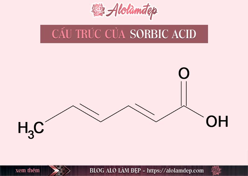 Sorbic Acid là gì ? Sorbic Acid có tác dụng gì trong mỹ phẩm làm đẹp