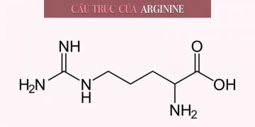 Arginine là gì