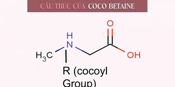 Coco Betaine là gì