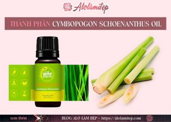 Cymbopogon Schoenanthus Oil là gì