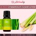 Cymbopogon Schoenanthus Oil là gì