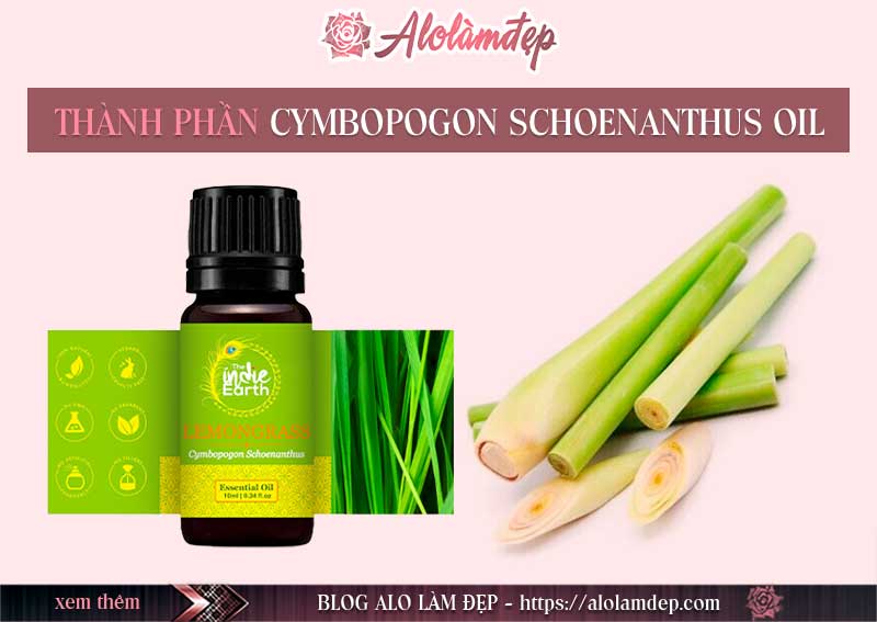 Cymbopogon Schoenanthus Oil là gì