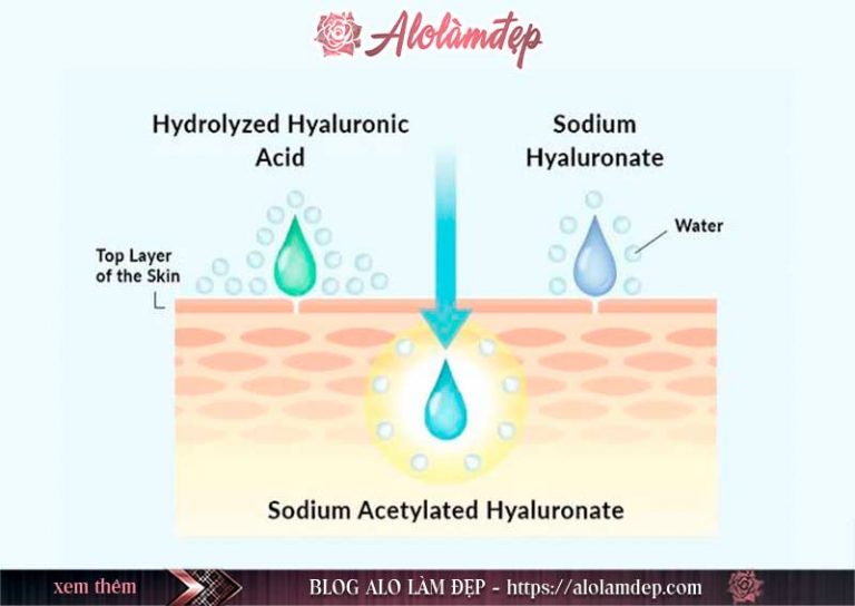 Hydrolyzed Hyaluronic Acid là gì ? Hydrolyzed Hyaluronic Acid có tác dụng gì trong mỹ phẩm làm