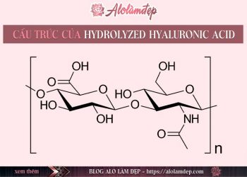 Hydrolyzed Hyaluronic Acid là gì