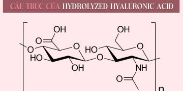 Hydrolyzed Hyaluronic Acid là gì