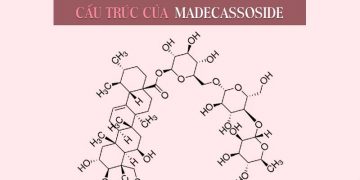 Madecassoside là gì