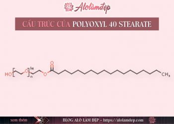 Polyoxyl 40 Stearate là gì