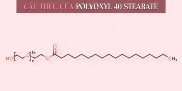 Polyoxyl 40 Stearate là gì